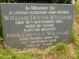 image of grave number 808826